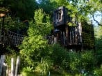 the treehouse the treehouse